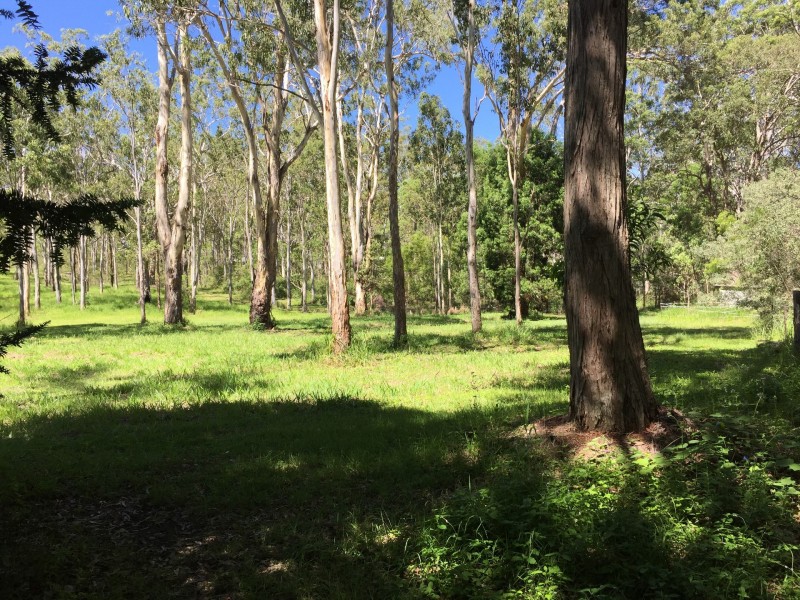 Wondecla QLD 4887