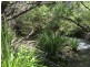 Wondecla QLD 4887