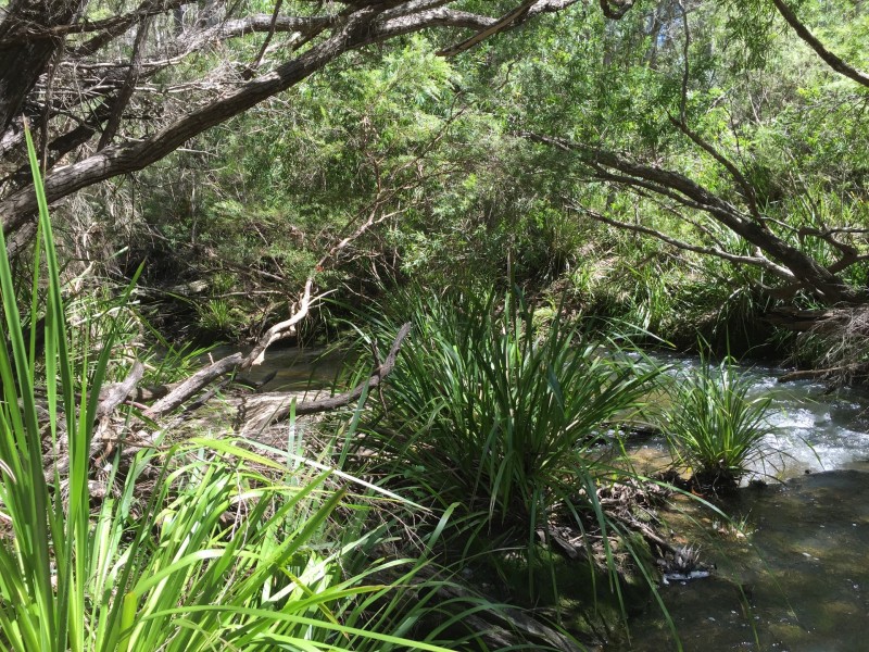 Wondecla QLD 4887