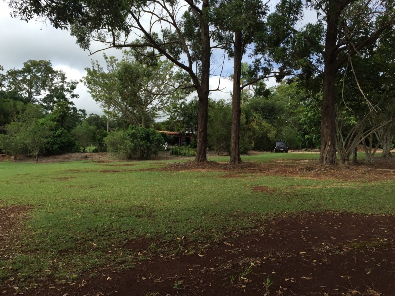 Tolga QLD 4882