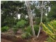 Tolga QLD 4882