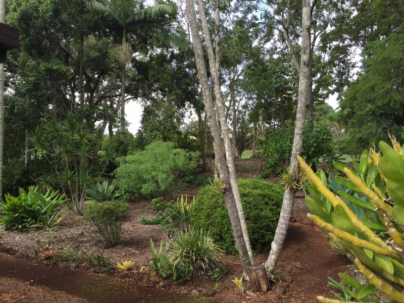 Tolga QLD 4882