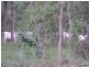 Tolga QLD 4882