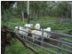 Tolga QLD 4882
