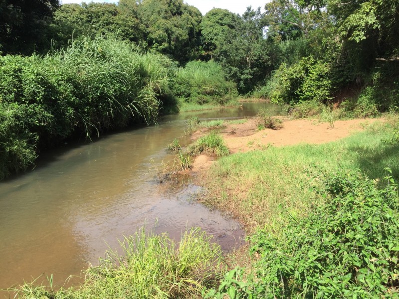 Upper Barron QLD 4883