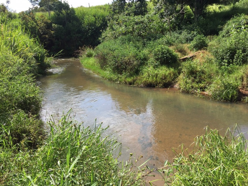 Upper Barron QLD 4883
