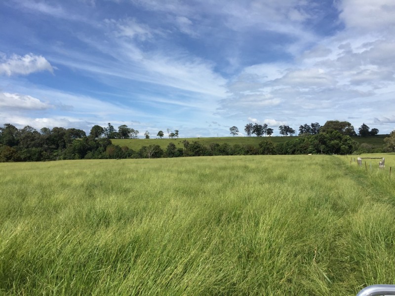 Upper Barron QLD 4883