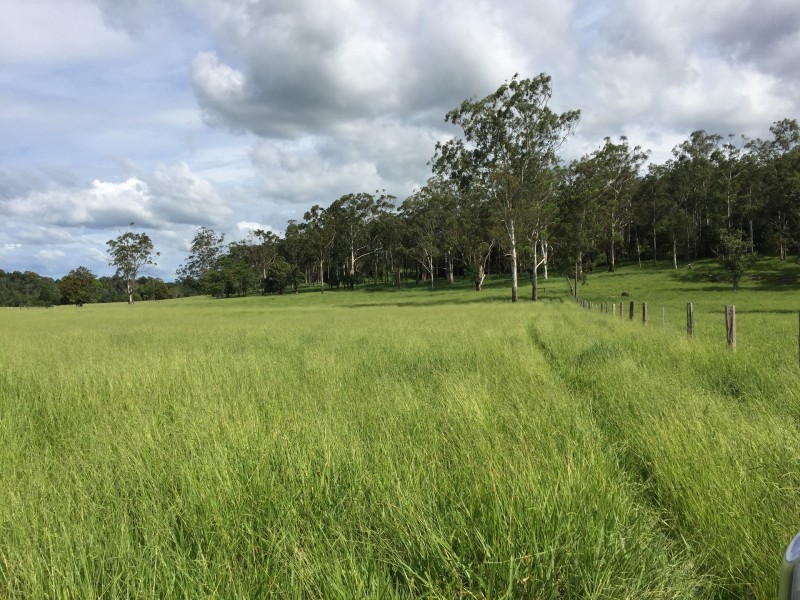 Upper Barron QLD 4883