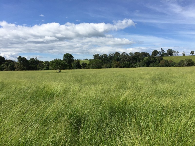 Upper Barron QLD 4883