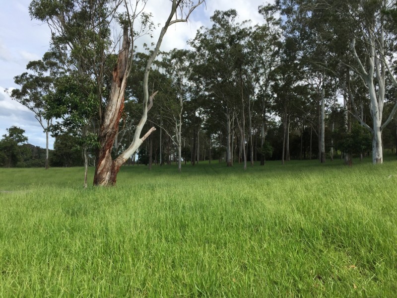 Upper Barron QLD 4883