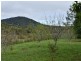 Ravenshoe QLD 4888