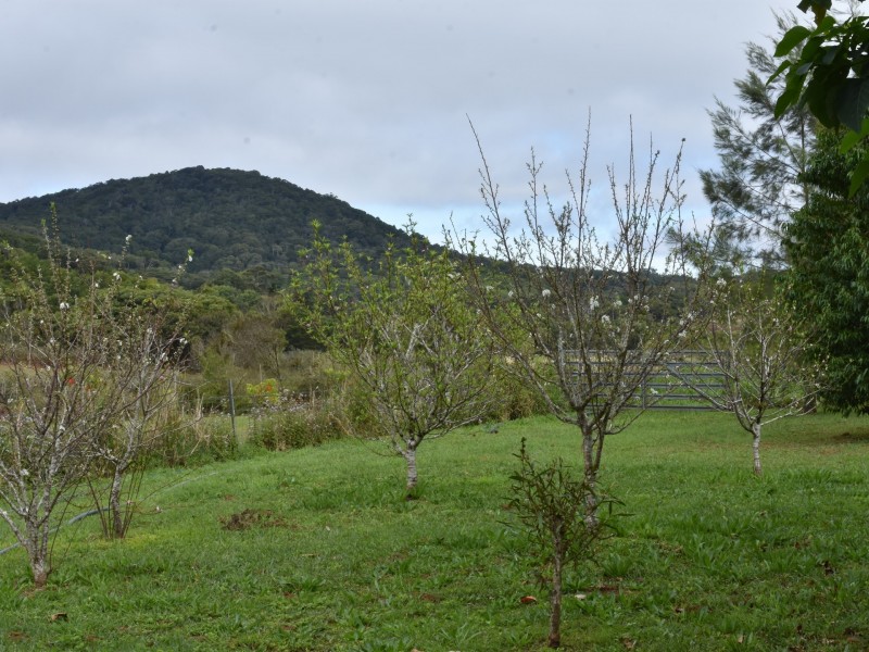 Ravenshoe QLD 4888
