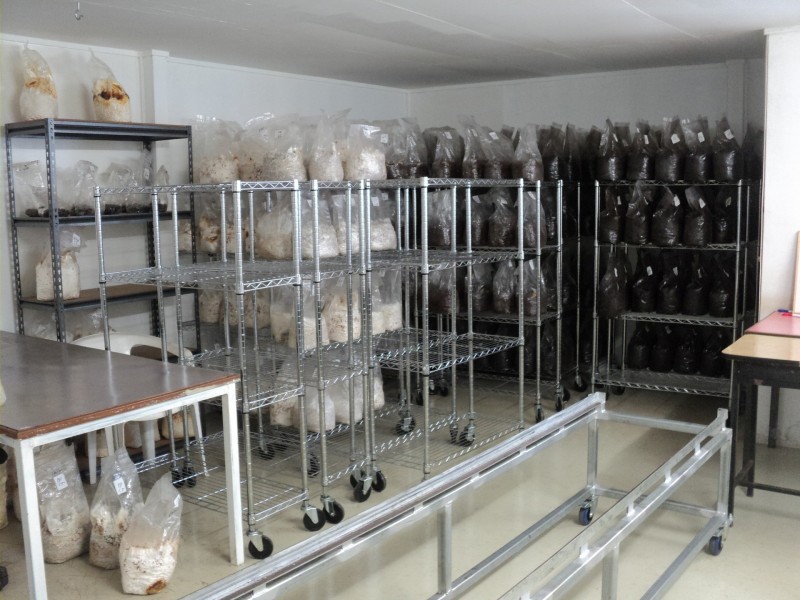 Upper Barron QLD 4883