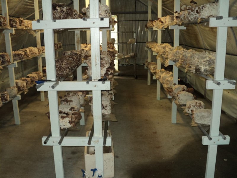 Upper Barron QLD 4883