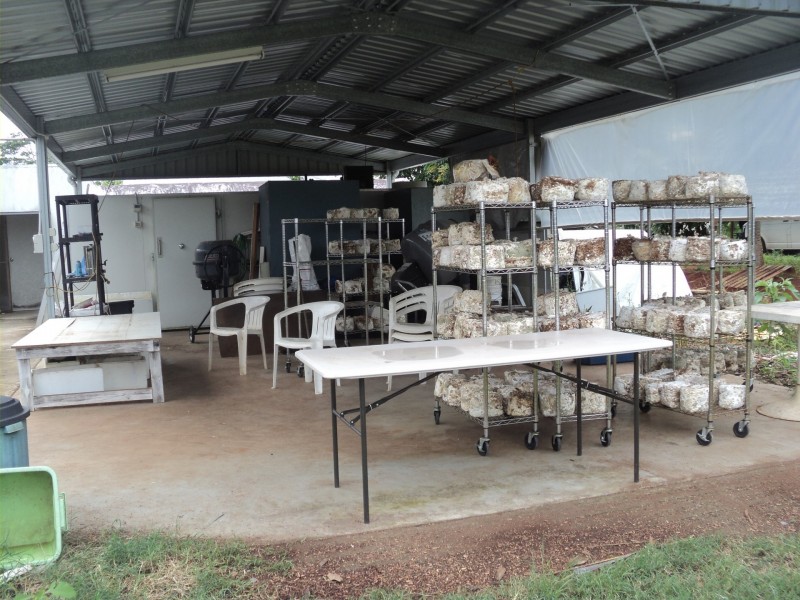 Upper Barron QLD 4883