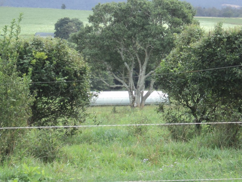 Upper Barron QLD 4883