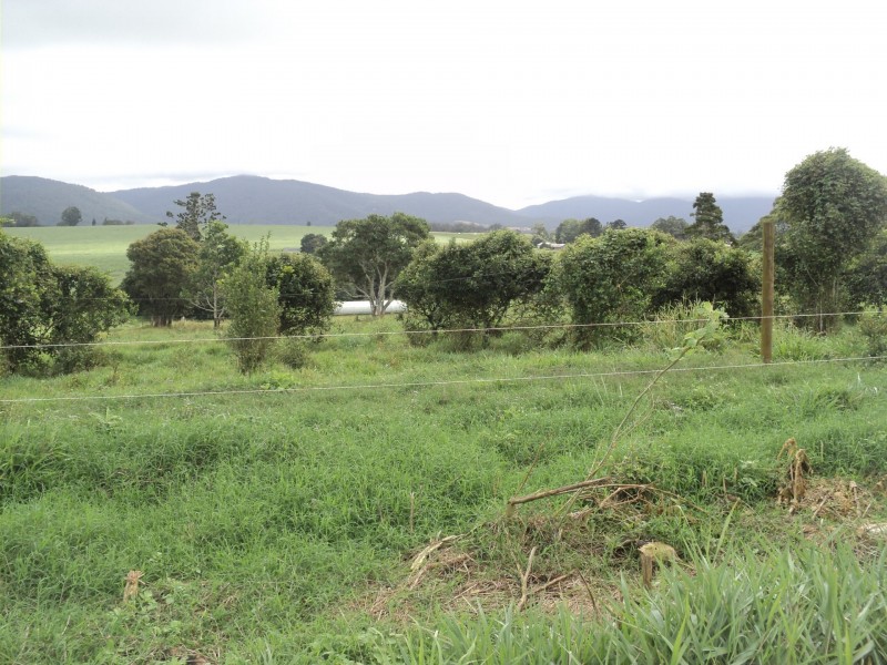 Upper Barron QLD 4883