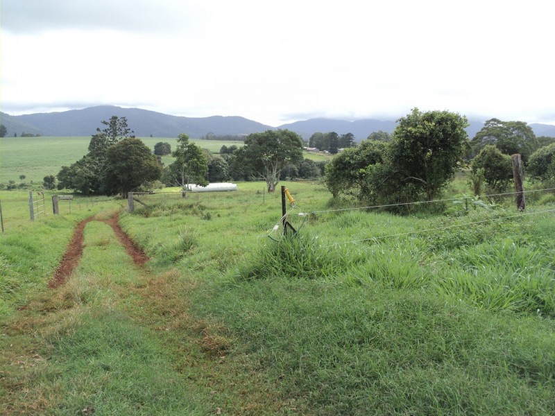 Upper Barron QLD 4883