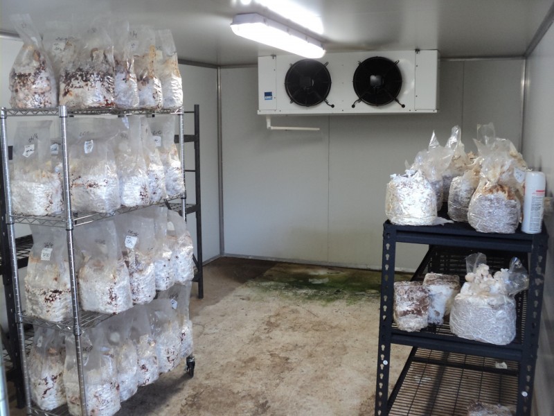 Upper Barron QLD 4883