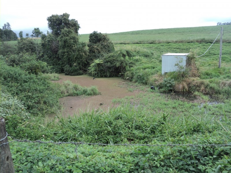 Upper Barron QLD 4883