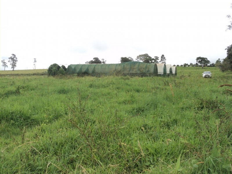 Upper Barron QLD 4883