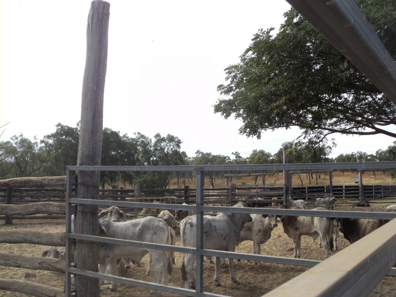 Herberton QLD 4887