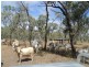 Herberton QLD 4887