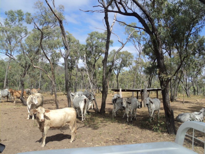 Herberton QLD 4887