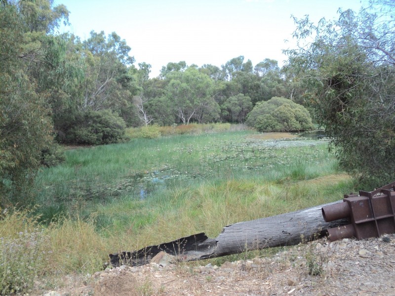 Herberton QLD 4887