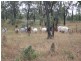 Herberton QLD 4887