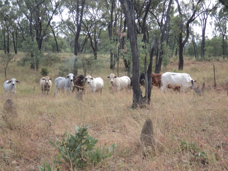 Herberton QLD 4887