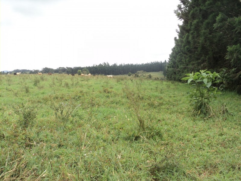 Malanda QLD 4885