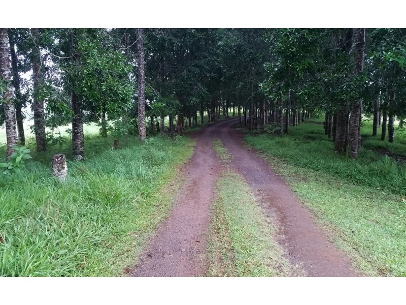 Malanda QLD 4885