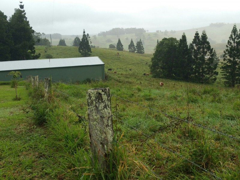 Malanda QLD 4885