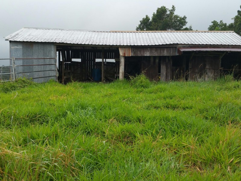 Malanda QLD 4885