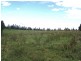 Malanda QLD 4885