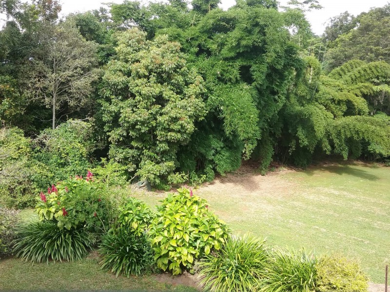 Malanda QLD 4885