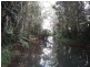 Malanda QLD 4885