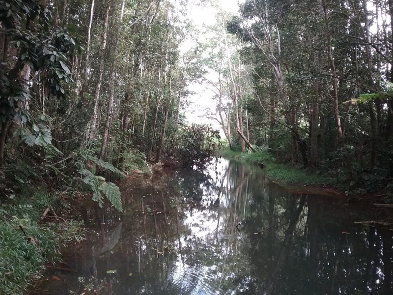Malanda QLD 4885