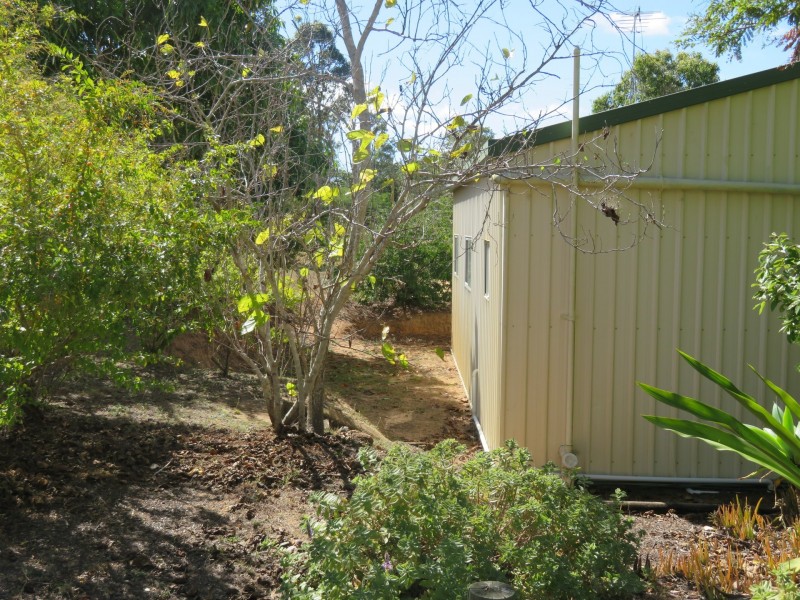 Innot Hot Springs QLD 4872