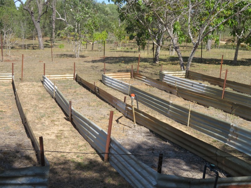 Innot Hot Springs QLD 4872