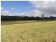 Yungaburra QLD 4884