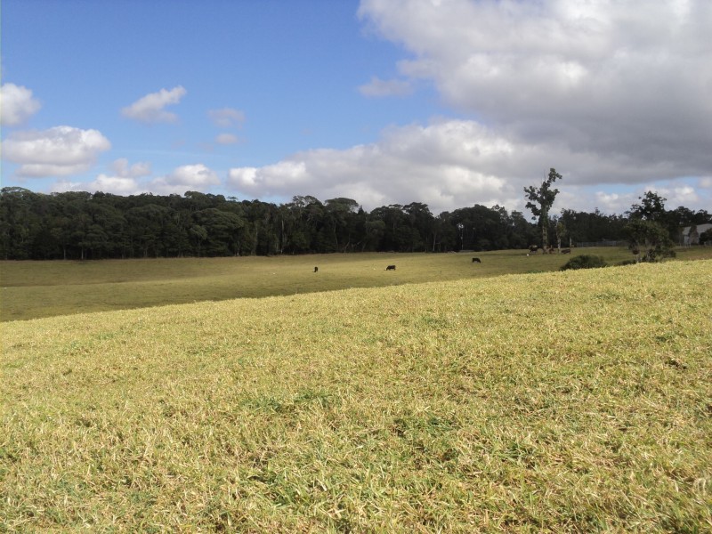Yungaburra QLD 4884