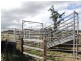 Yungaburra QLD 4884