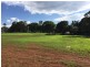 Yungaburra QLD 4884