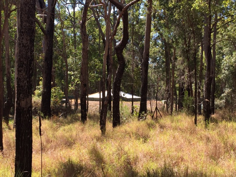 Ravenshoe QLD 4888