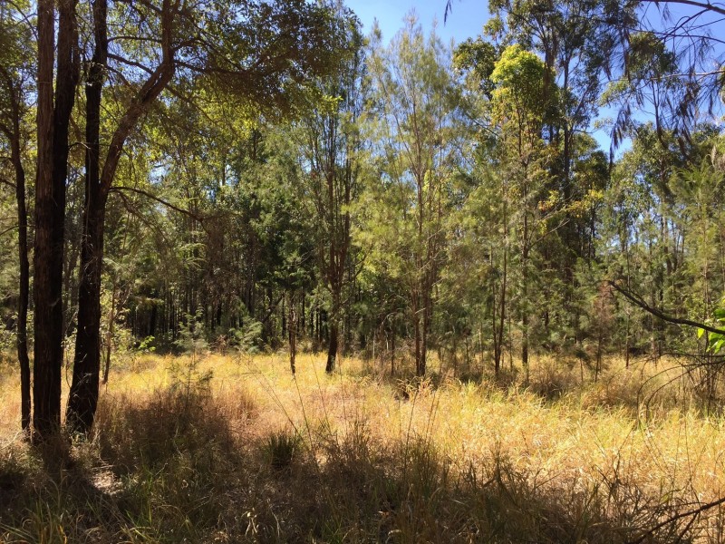 Ravenshoe QLD 4888