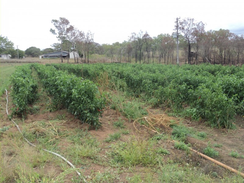 Mareeba QLD 4880