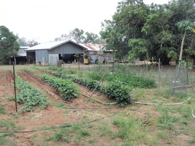 Mareeba QLD 4880