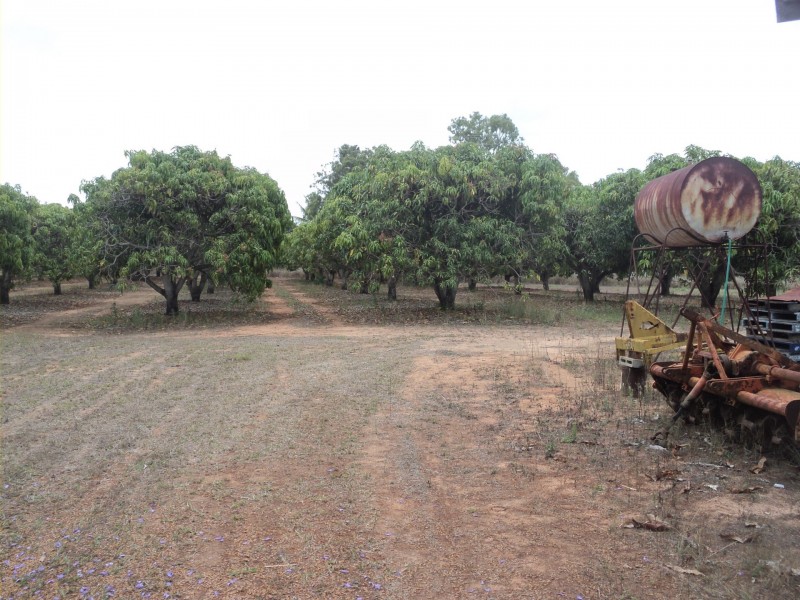 Mareeba QLD 4880